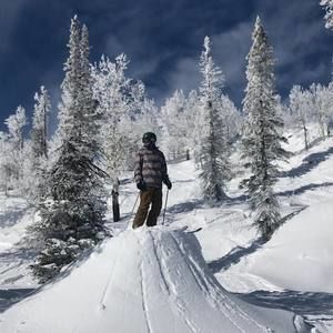 Meet your Posher, Brandon